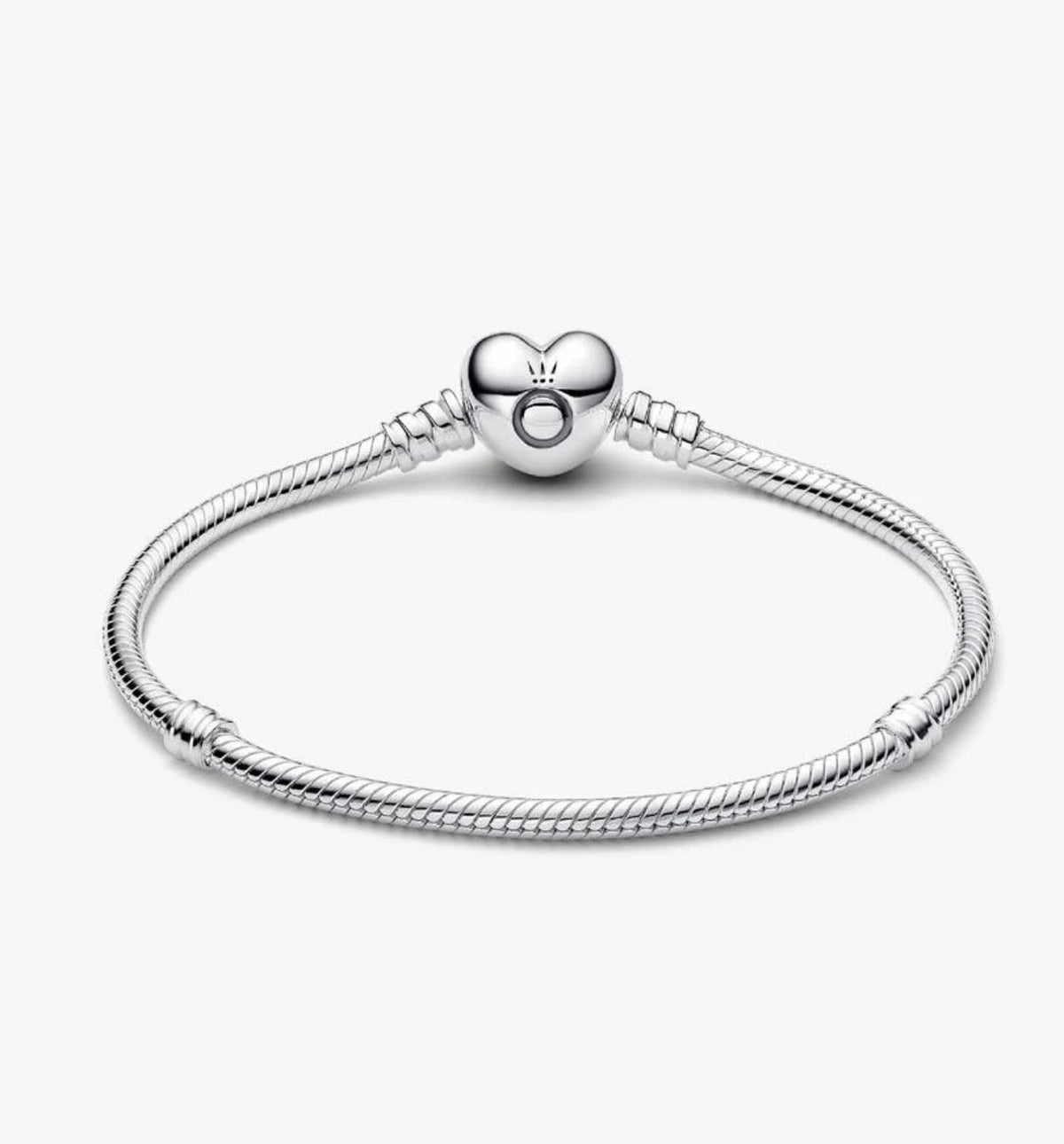 Charm Bracelet in Silver Tone