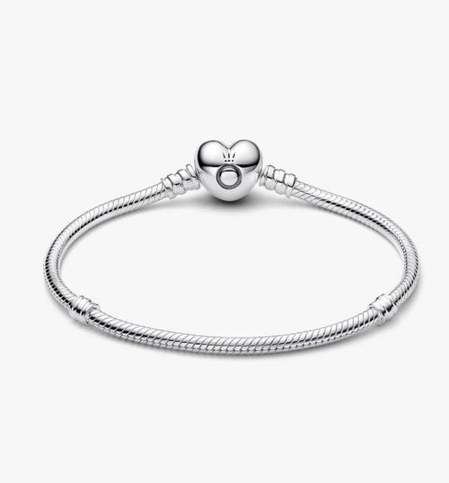 Charm Bracelet in Silver Tone
