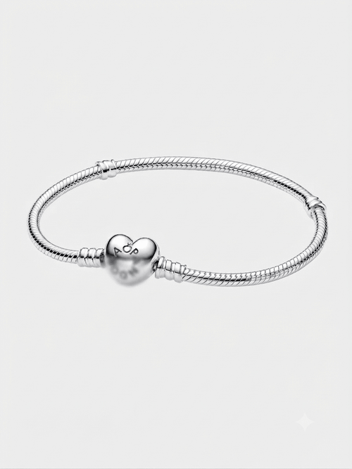 Charm Bracelet in Silver Tone
